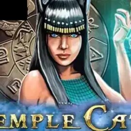 Temple Cats