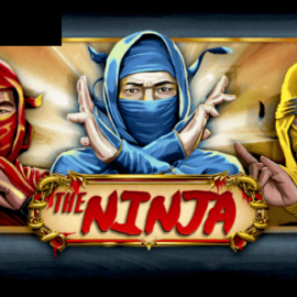 The Ninja